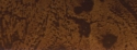 UFR Корень